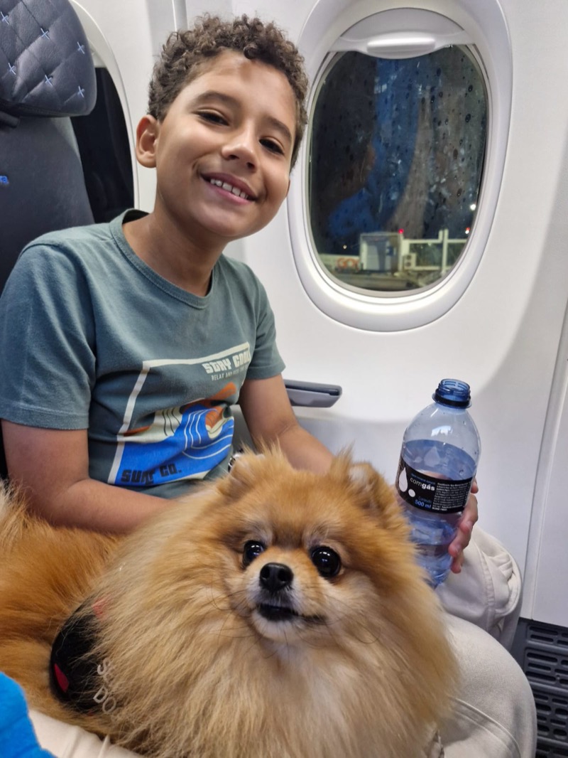 Boy with Pomeranian service dog on airplane