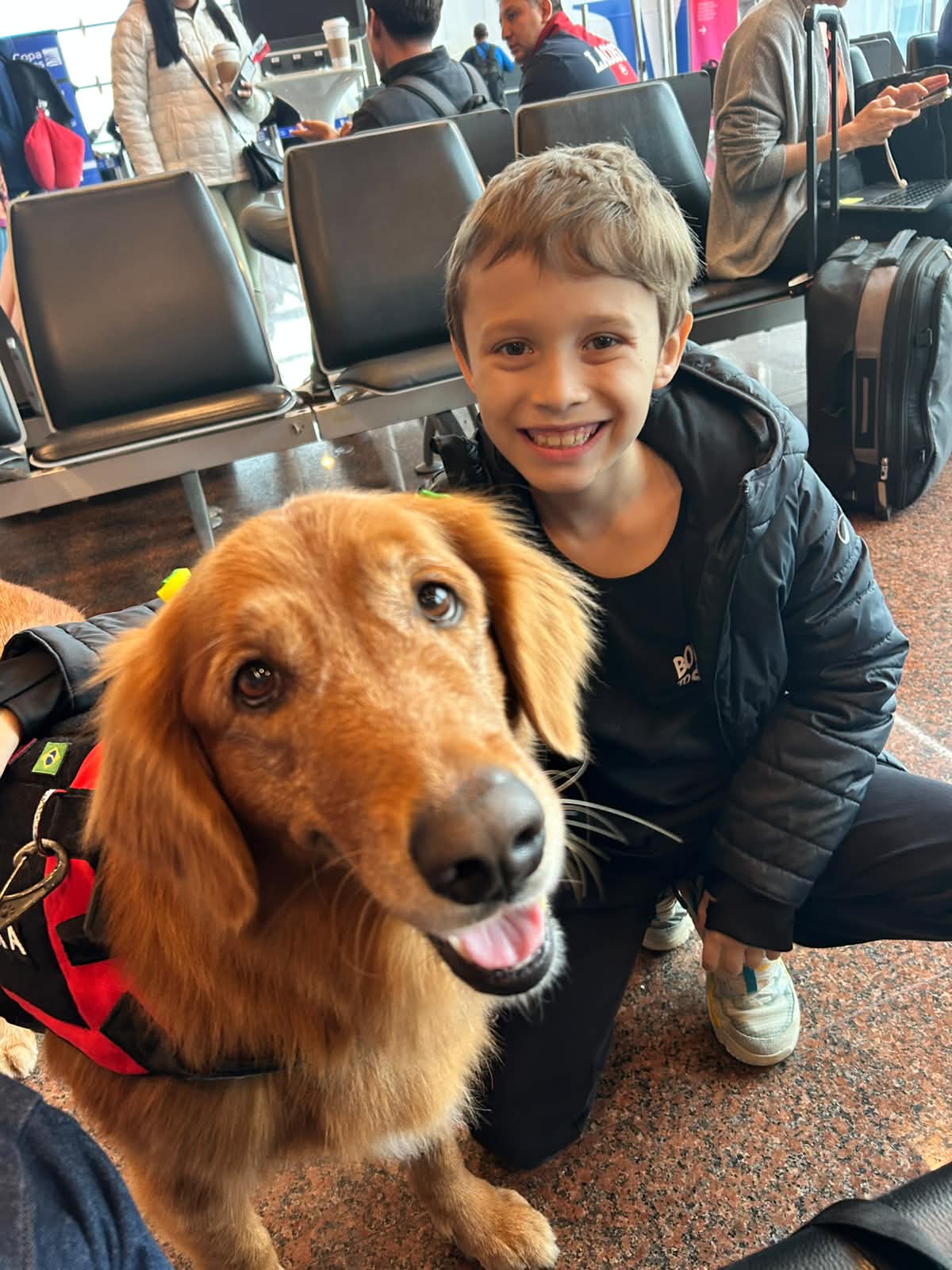 Boy smiling with Golden Retriever service dog at airport gate